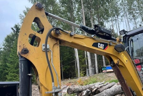 Mini Pelle CAT 302.2D – Image 21